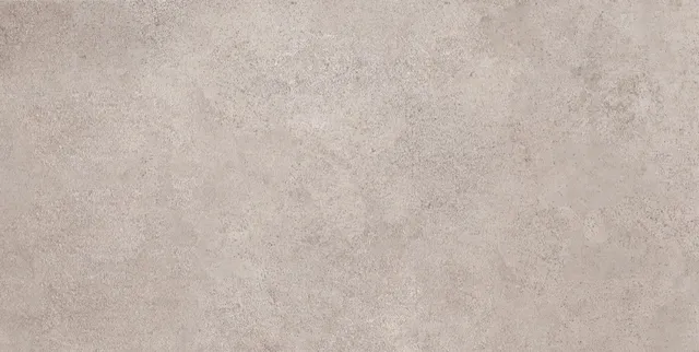 Recer Passionis Taupe 30x60R piastrella natural rettificata