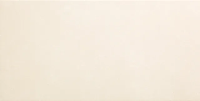 Recer Saluto White piastrella 30x60 Natural