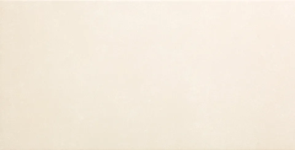 Recer Saluto White piastrella 30x60 Natural