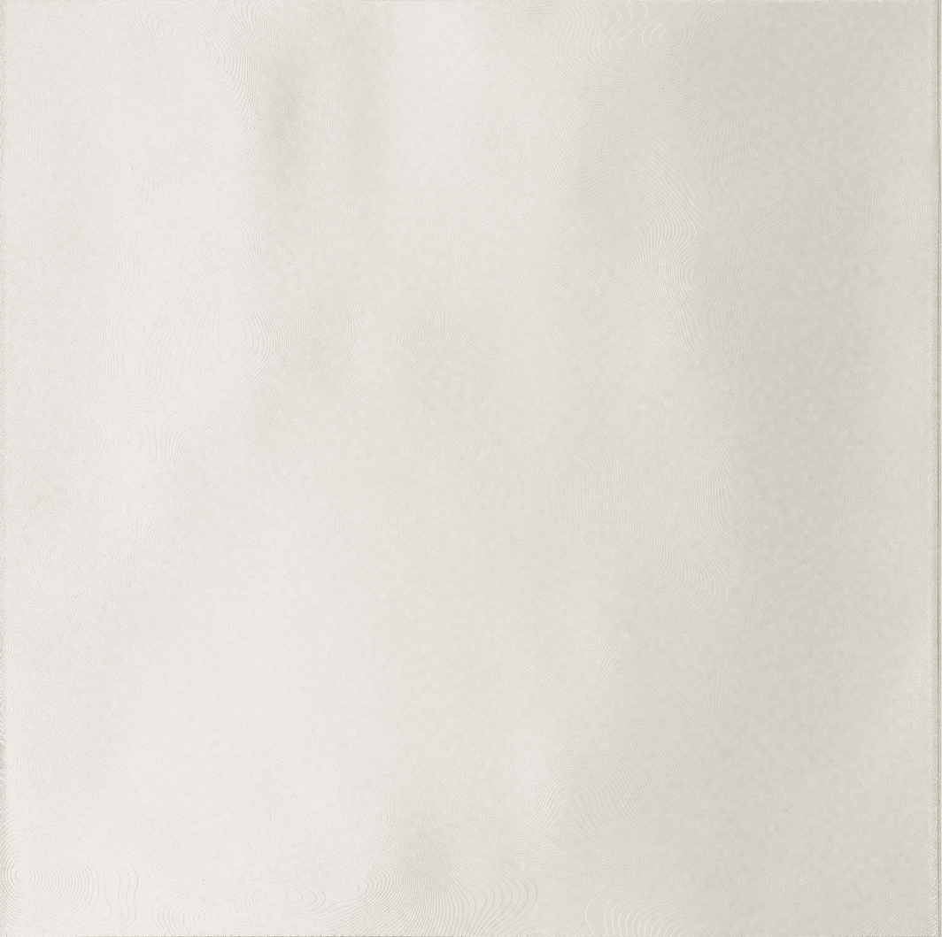 Recer Signature White piastrella 7,5x15 bianca campione