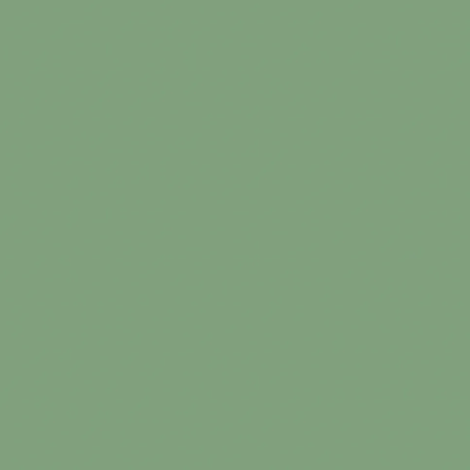 Recer Projectos Verde Vivo piastrella 13x13 campione