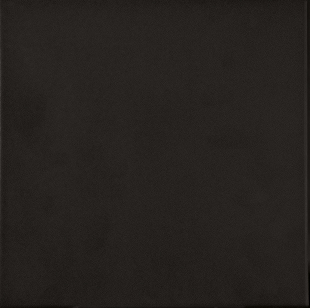Recer Triplex Black 13×13 piastrella campione naturale