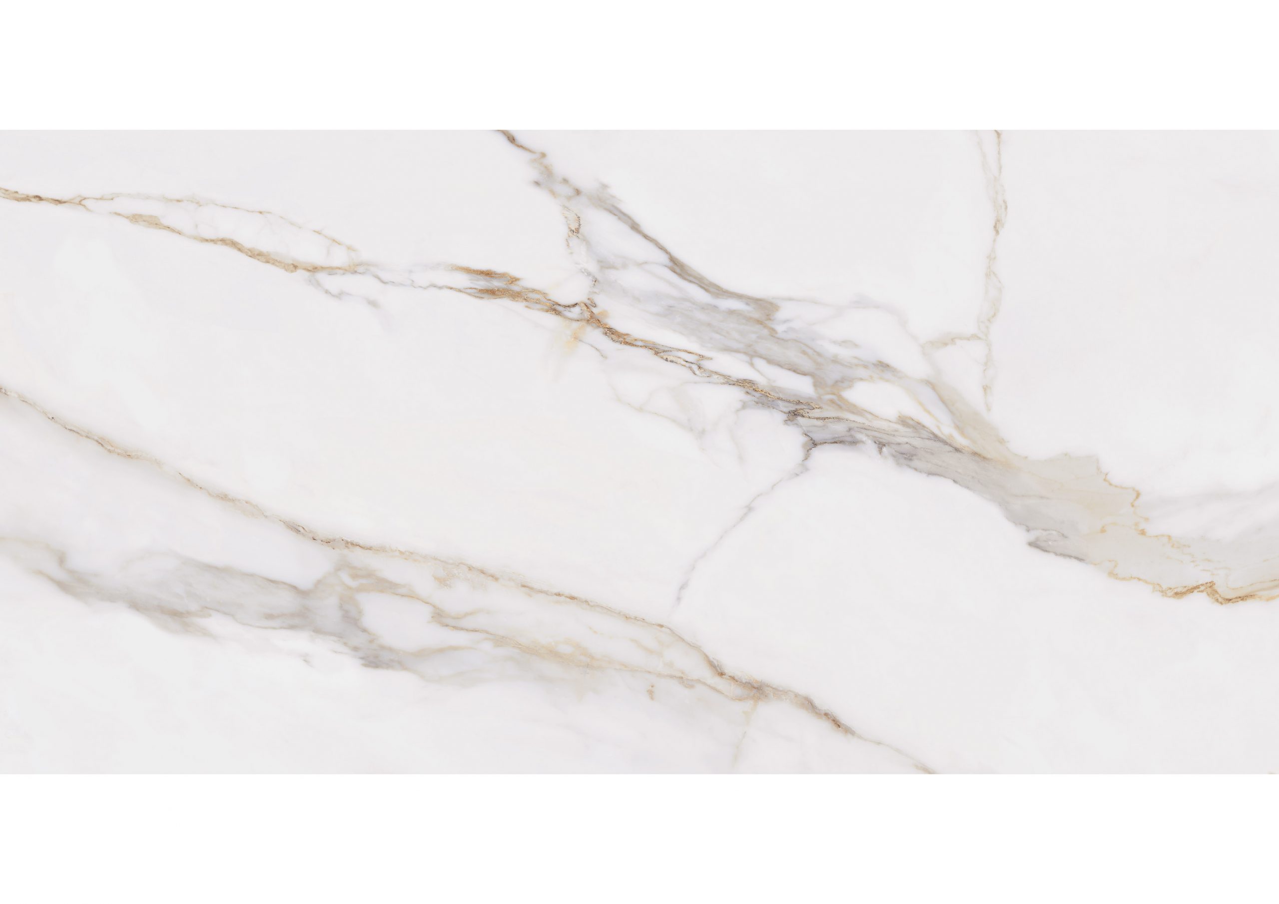 Roca Marble Calacatta Oro piastrella gres marmo bianco