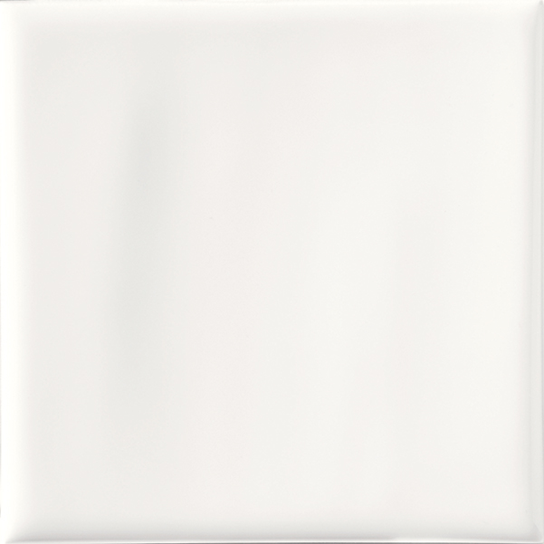Recer Naprec piastrella 10x10 bianco brillo campione