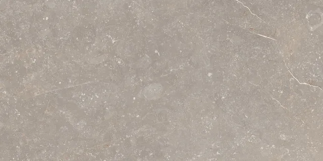 Recer Bluenza Warm Grey piastrella 30x60 naturale pavimento