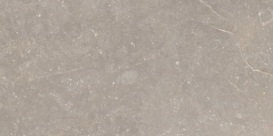 Recer Bluenza Warm Grey Piastrella 30x60R Gres Naturale