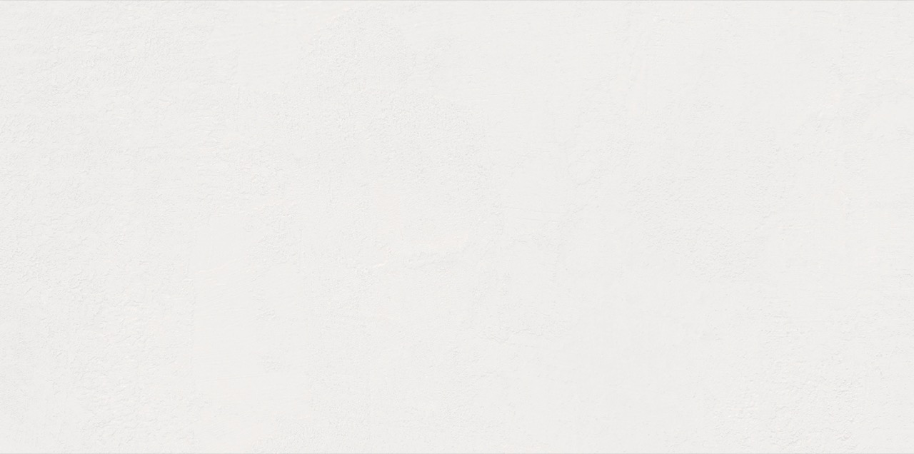 Recer Swing White 30x60R piastrella naturale bianca