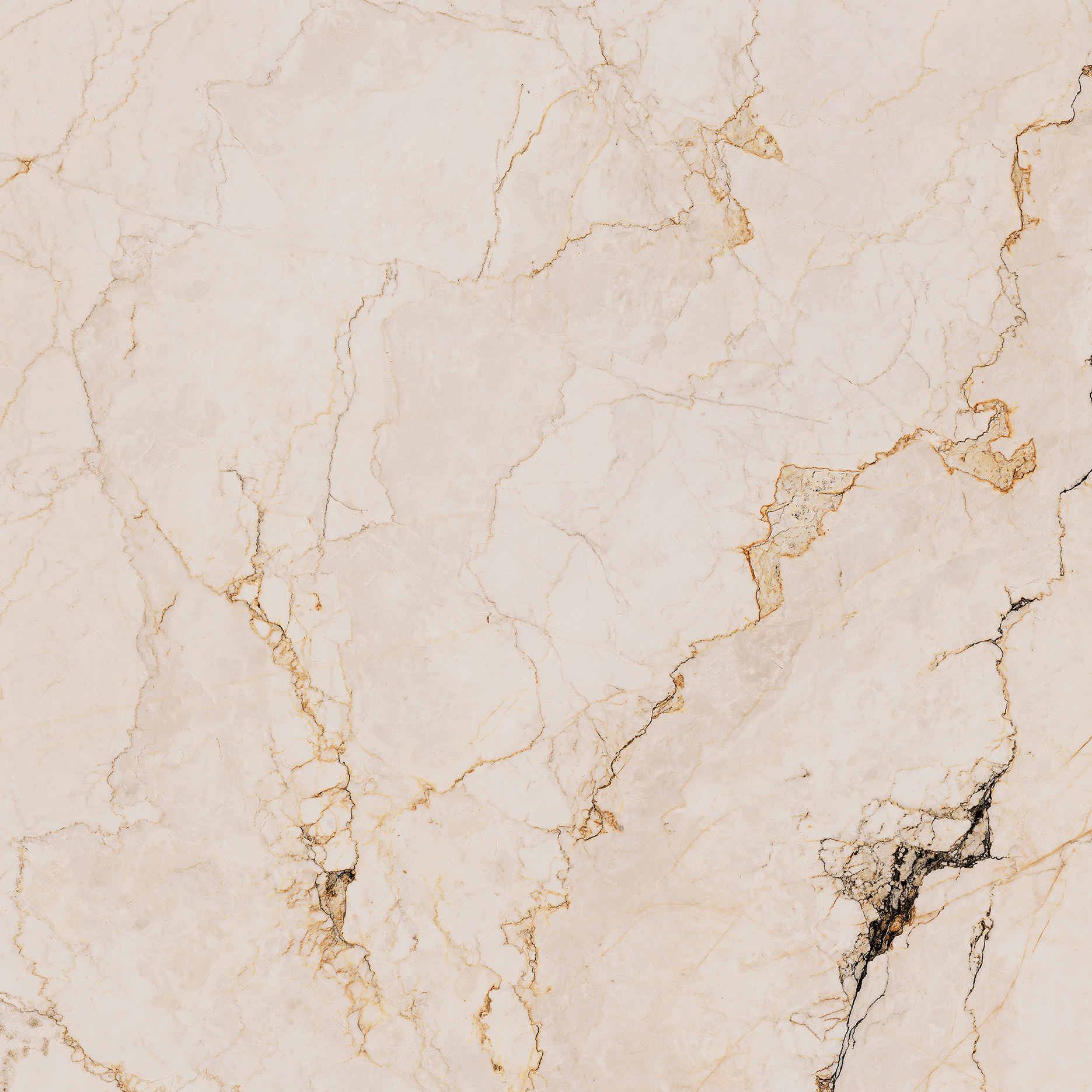 Recer Paonazzo 60x60R piastrella rettificata Natural pavimento