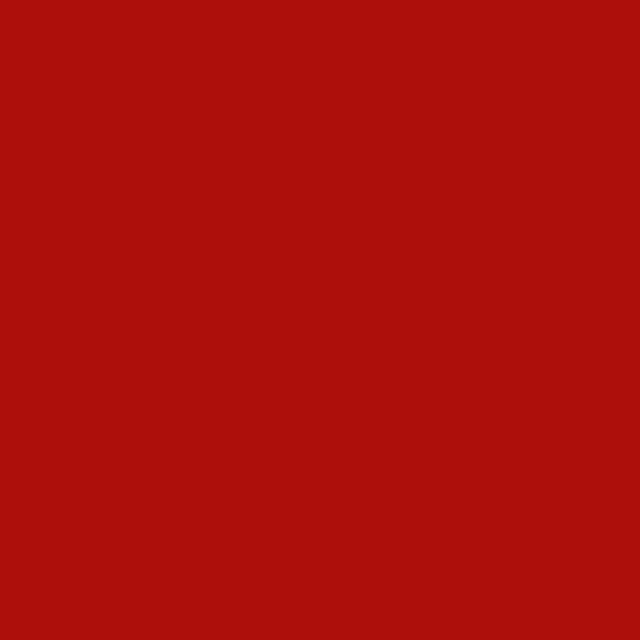 Recer Projectos Vermelho M300 piastrella 20x20 naturale