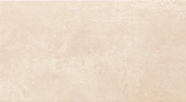 Recer Manhattan Beige Piastrella 30x60 Lucida