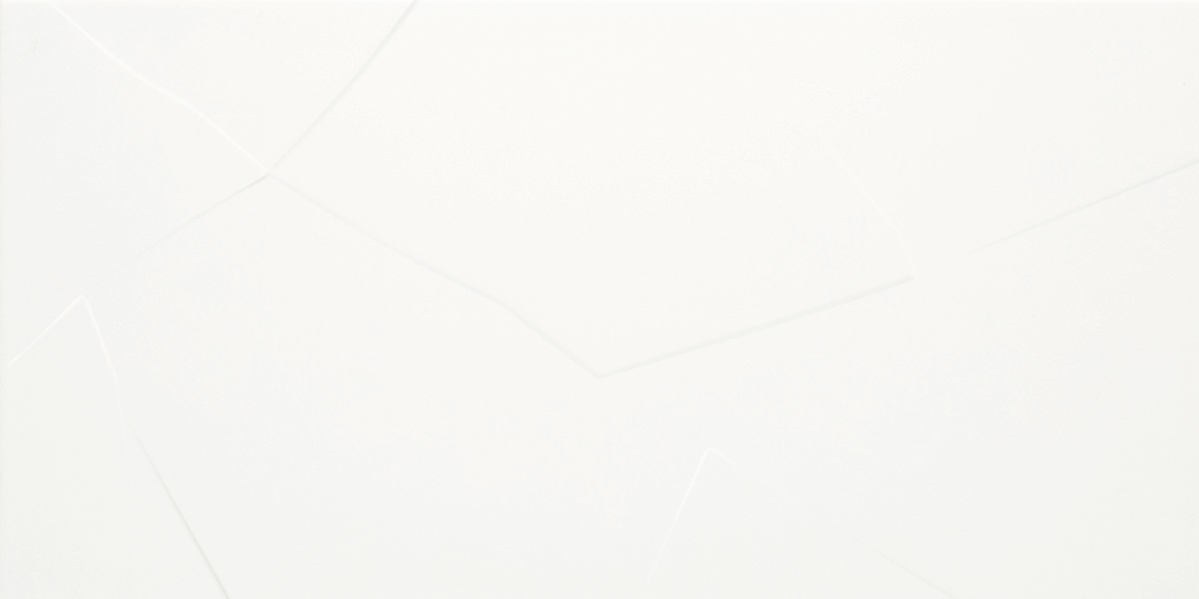 Recer Ice White Matt piastrella 30x60R bianco opaco