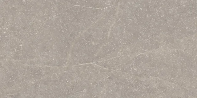 Recer Bluenza Warm Grey 30x60R piastrella natural grigia