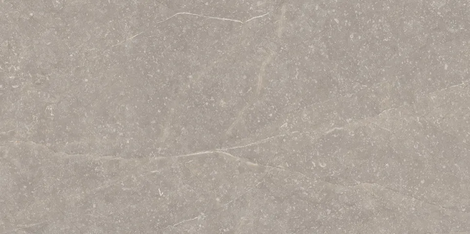 Recer Bluenza Warm Grey 30x60R piastrella natural grigia