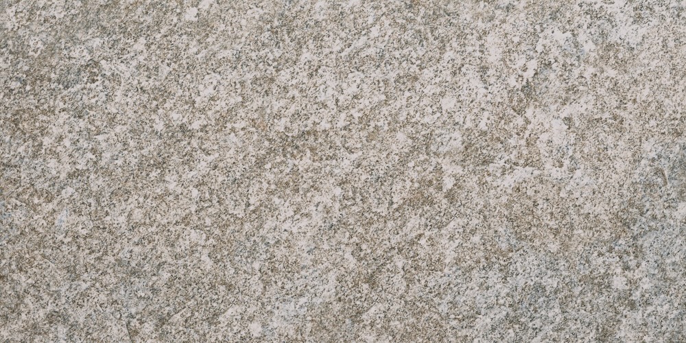 Recer Goidelic Grey 30x60 piastrella grigia opaca