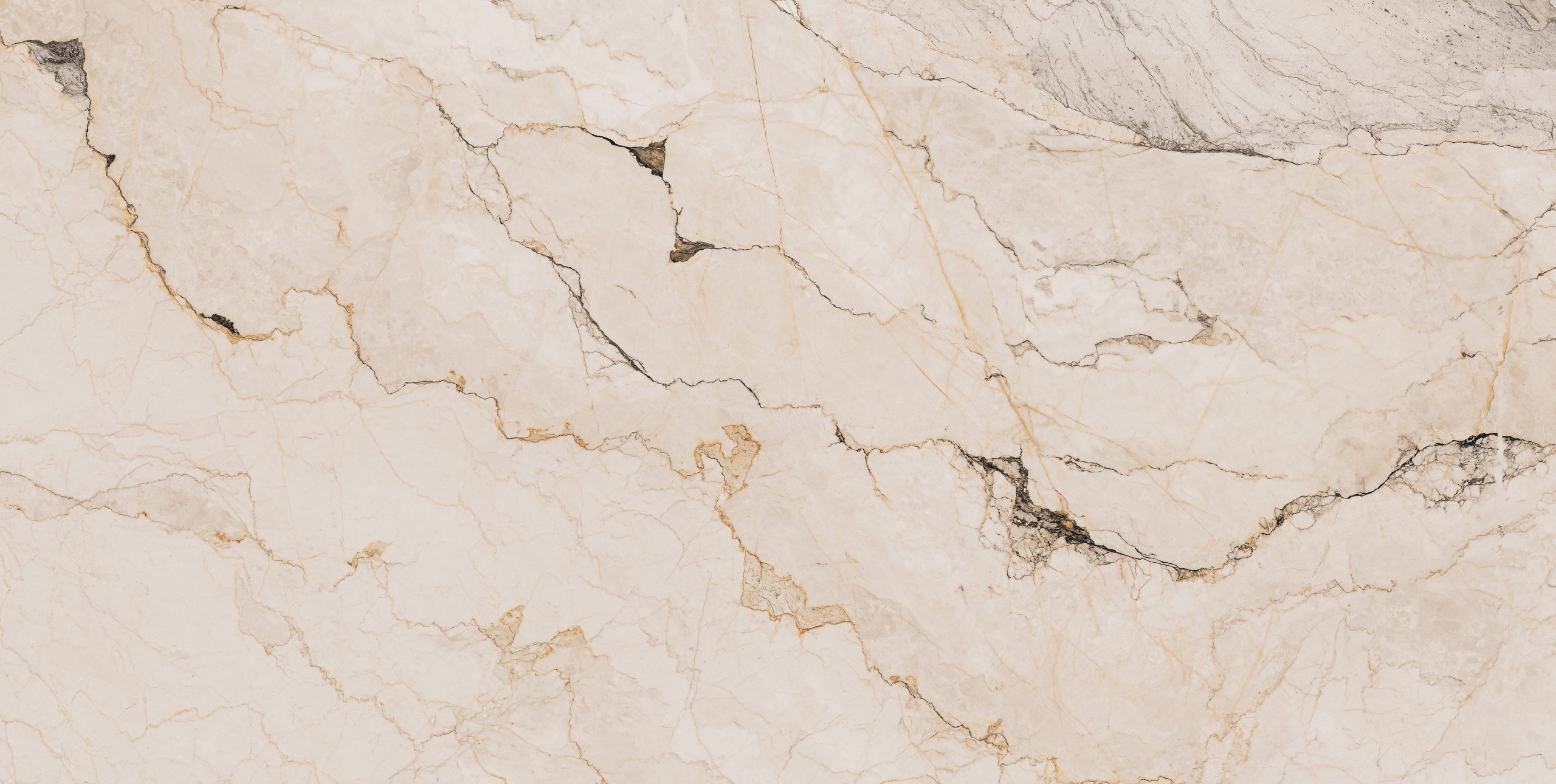 Recer Paonazzo piastrella 60x120R naturale effetto marmo