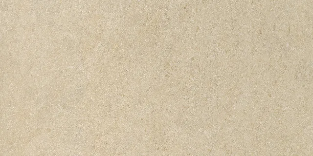 Recer Alliance Dark Beige piastrella 30x60 naturale