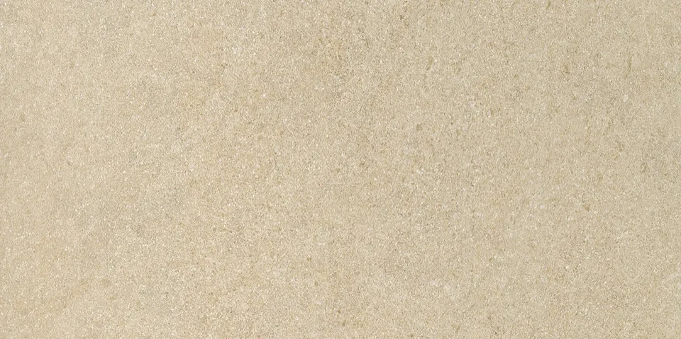 Recer Alliance Dark Beige Plus piastrella 30x60R beige