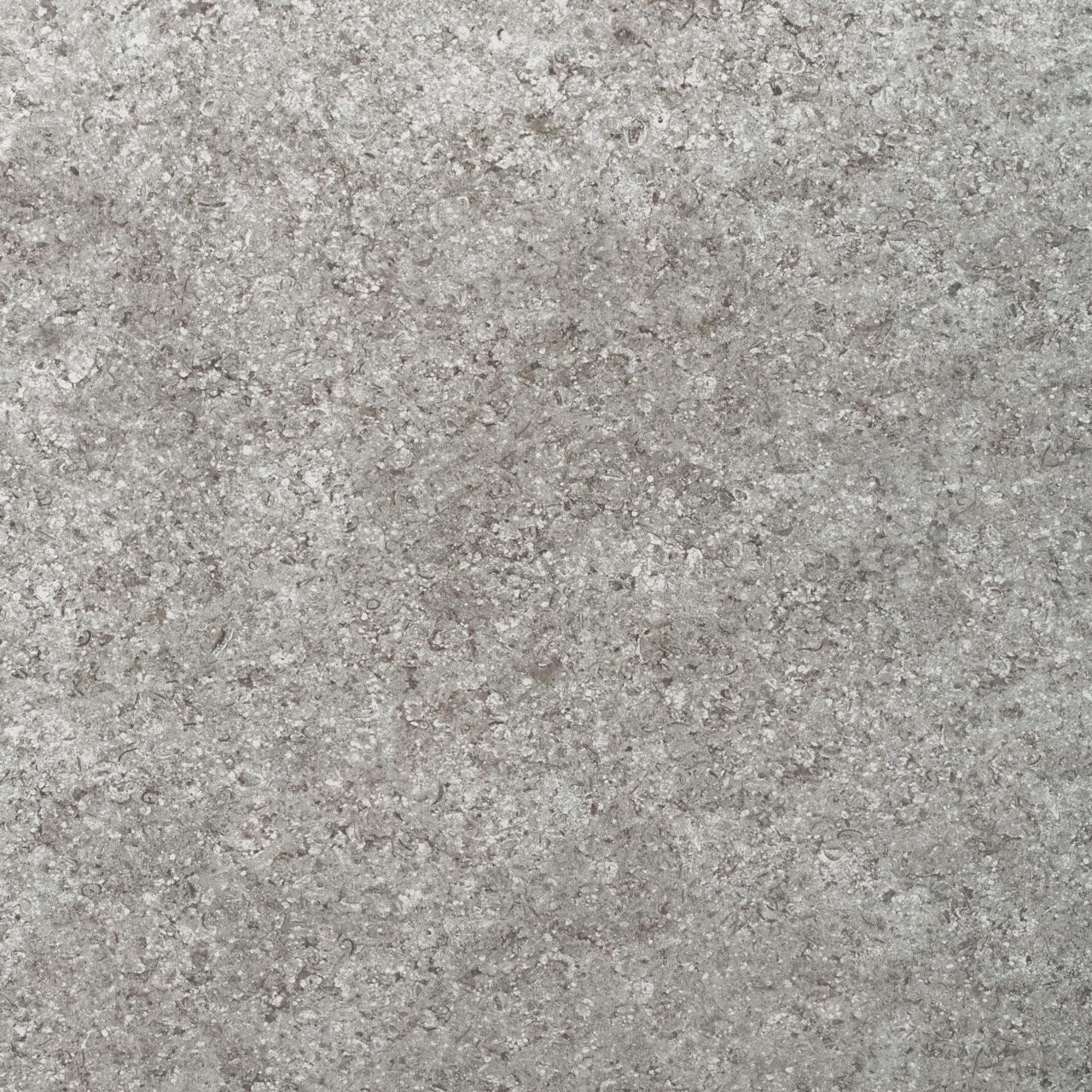 Recer Impetus Grey 45×45 piastrella Plus