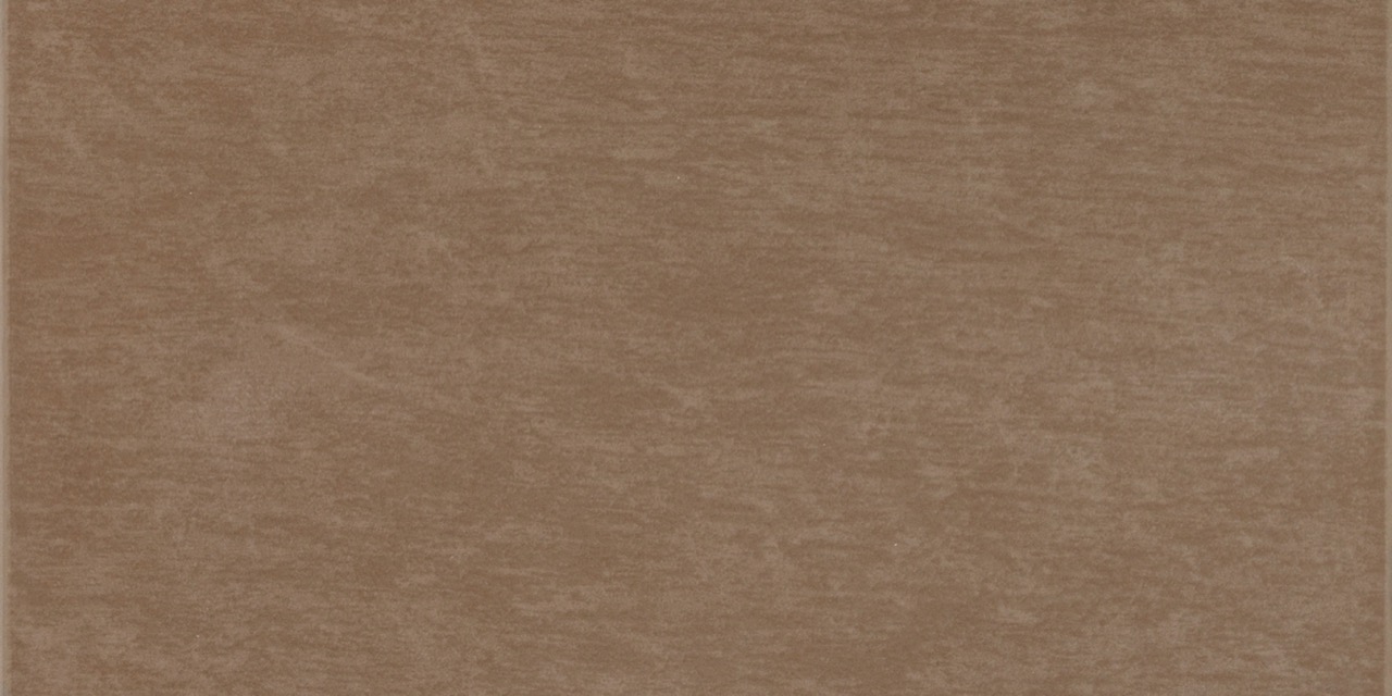 Recer Infinity Moka piastrella 30x60 lucida marrone