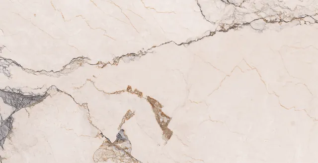 Recer Paonazzo piastrella 30x60R lucida effetto marmo