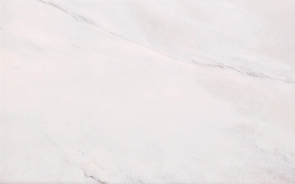 Recer Majestic Grey 25x40 piastrella grigia lucida