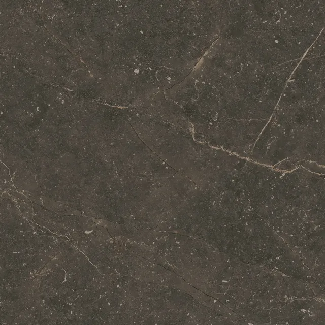 Recer Bluenza Ebony Black 60x60 piastrella Natural