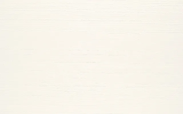 Recer Projectos Coral White 25x40 piastrella bianca