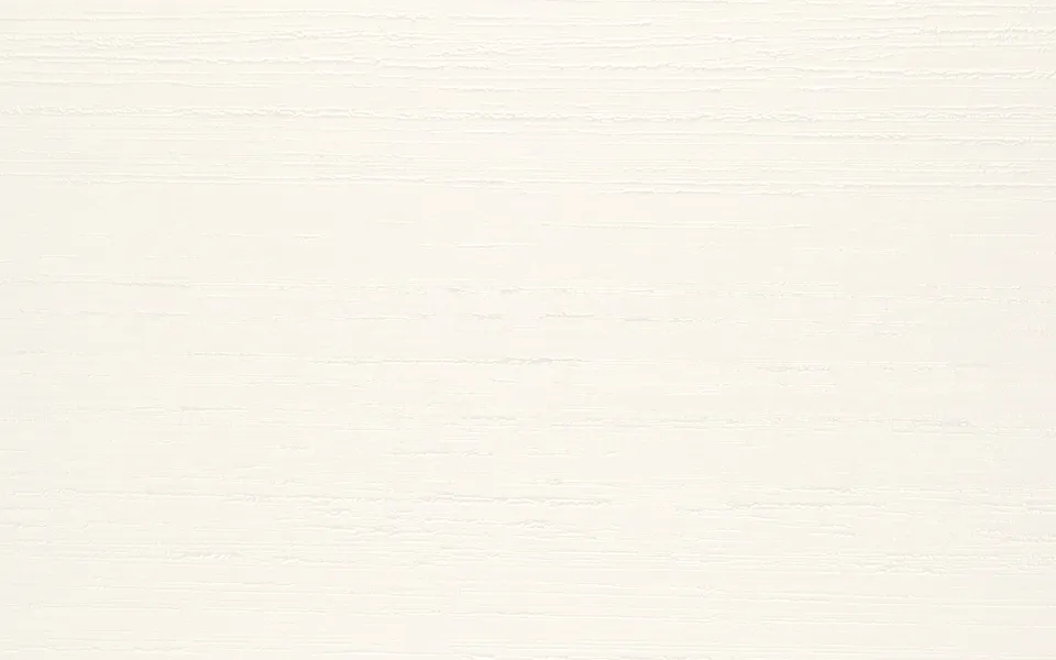 Recer Projectos Coral White 25x40 piastrella bianca