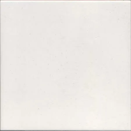 CERAMICA PINTO Classico Vietri VP145 piastrella smalto bianco
