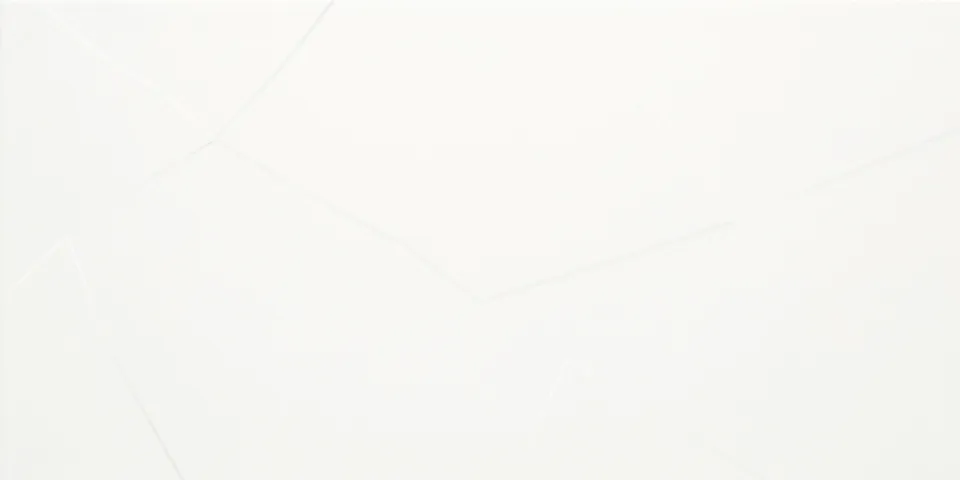 Recer Ice White Matt piastrella 30x60R bianco opaco