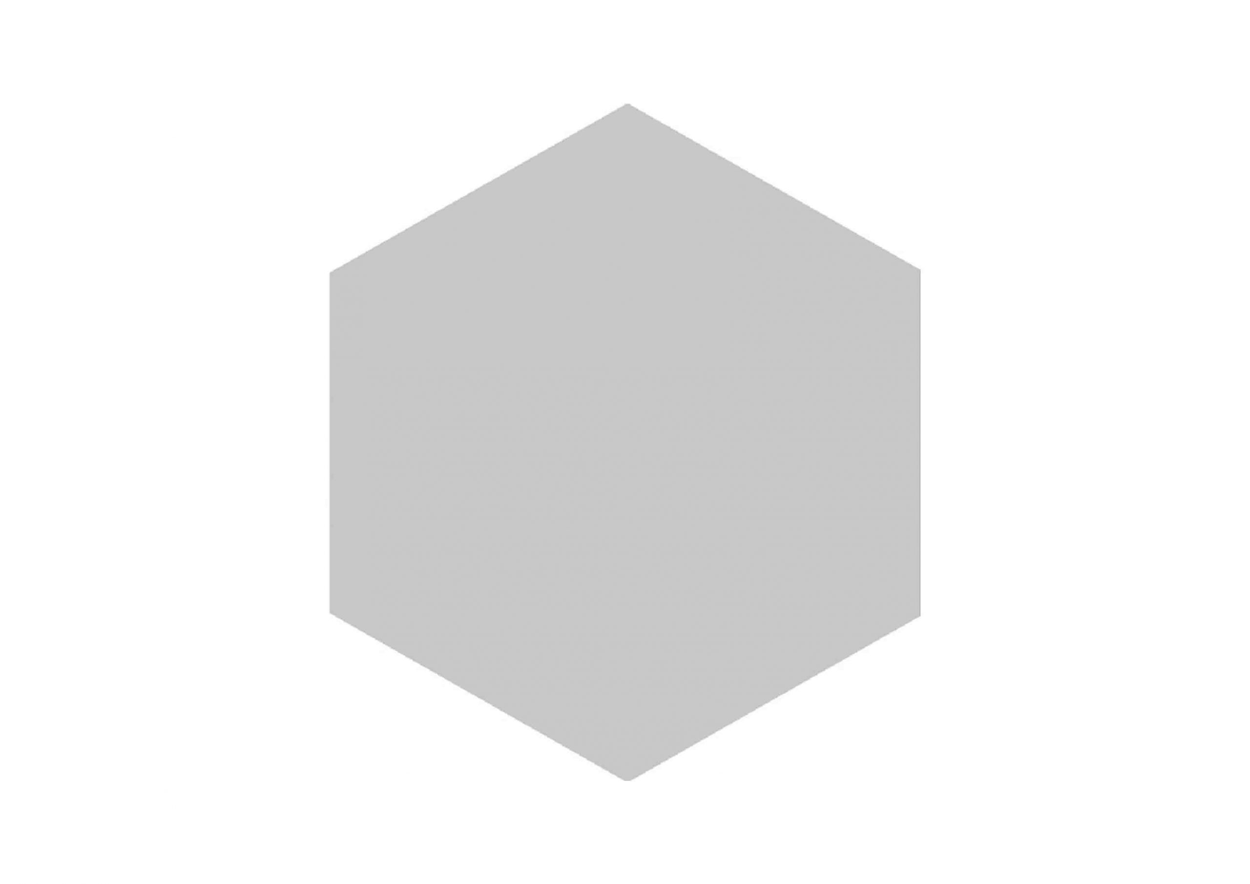 Roca Block Hexagon Gris Mate piastrella esagonale