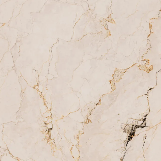 Recer Paonazzo Plus piastrella 60x60R rettificata