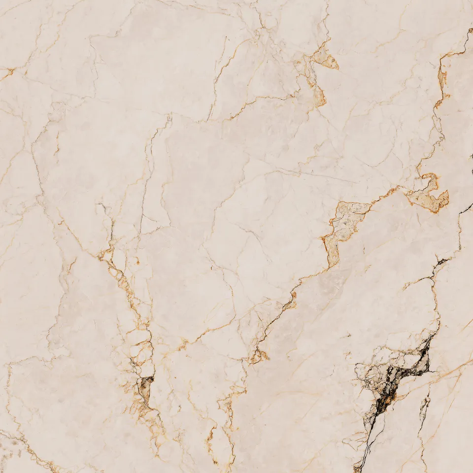 Recer Paonazzo Plus piastrella 60x60R rettificata