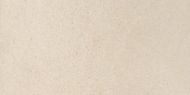 Recer Alliance Piastrella Beige 30x60R Plus