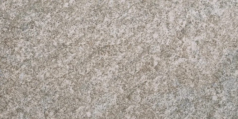 Recer Goidelic Grey 30x60 piastrella grigia opaca