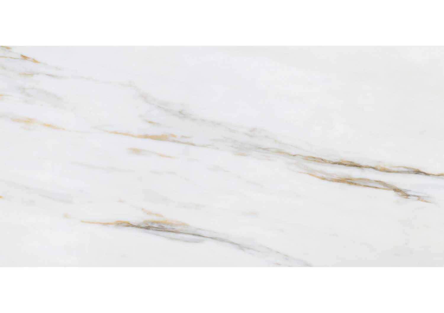 Roca Tiles Marble Calacatta Gold 60x120 Piastrella levigata