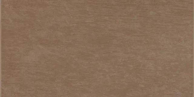 Recer Infinity Moka piastrella 30x60 lucida marrone