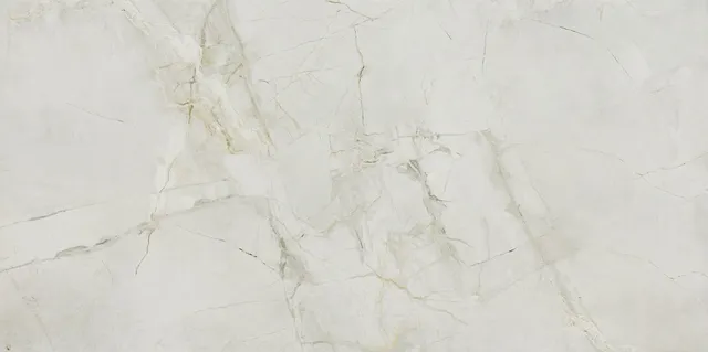 Recer Griseo piastrella 60x120R gres Natural