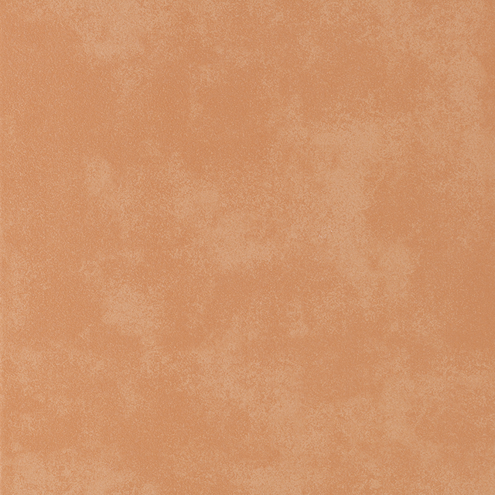 Recer Rustico Tradicional 13x13 Campione Piastrella Rustica