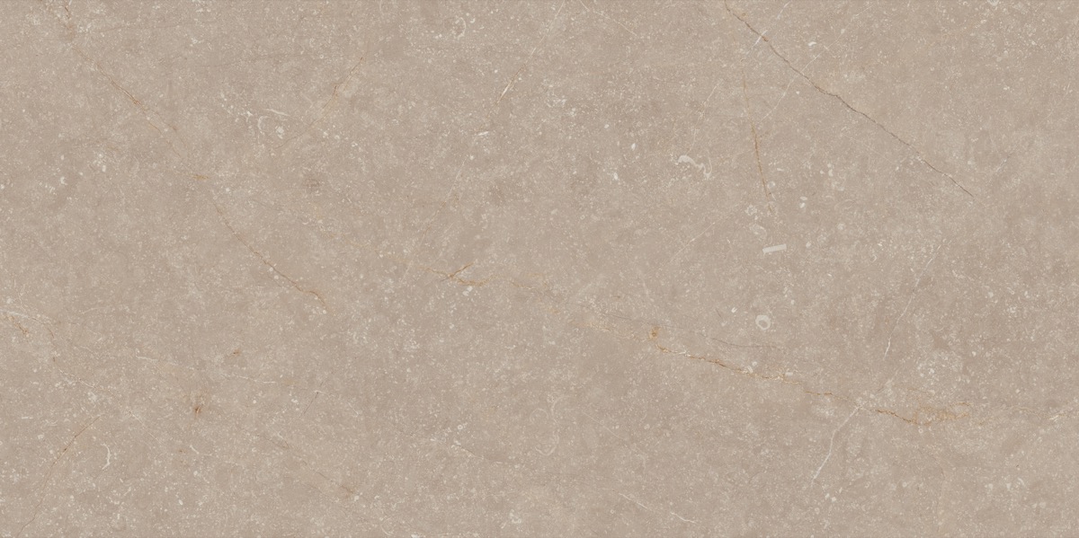 Recer Bluenza Earth Clay lastra 60x120R Natural