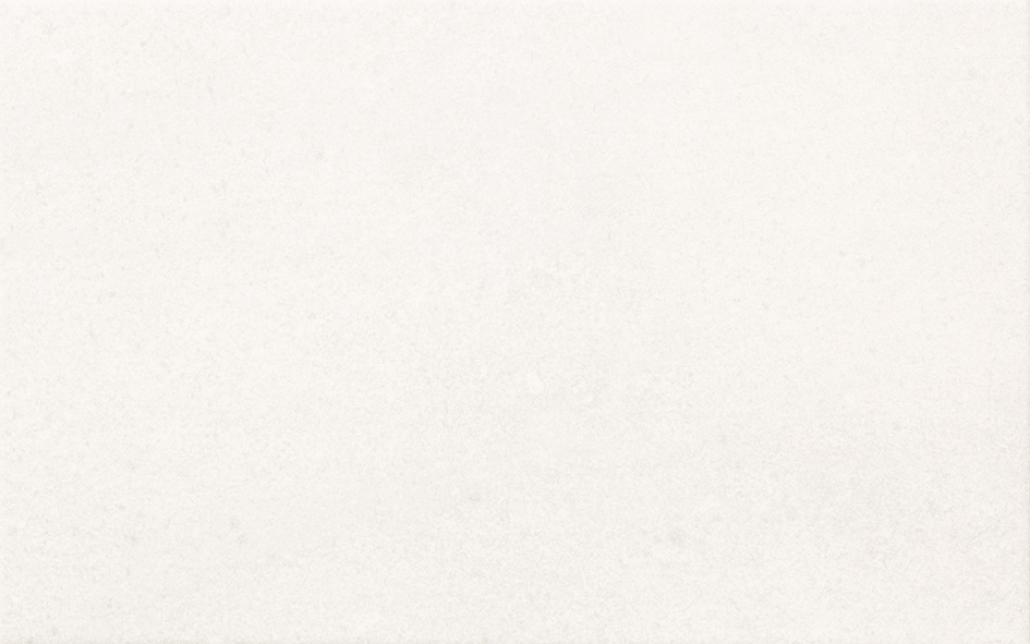 Recer Mauna White piastrella 25x40 Natural bianco