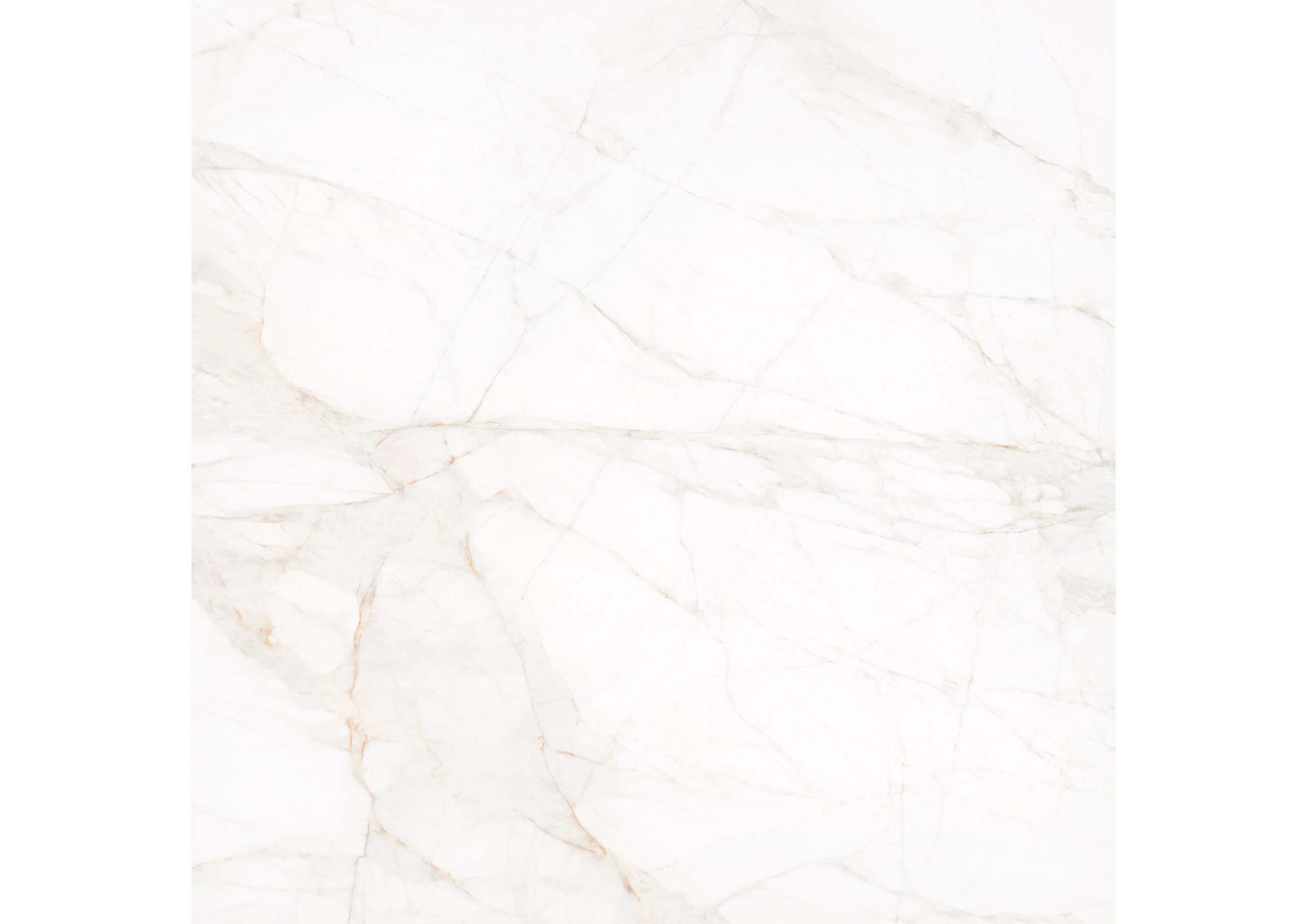 Roca Marble Dolomita Blanco piastrella gres marmo lucida