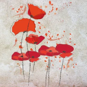 Viva Made Mohn Lampada da Parete Moderna
