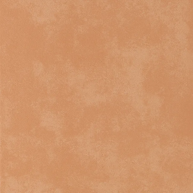 Recer Rustico Tradicional 13x13 Campione Piastrella Rustica
