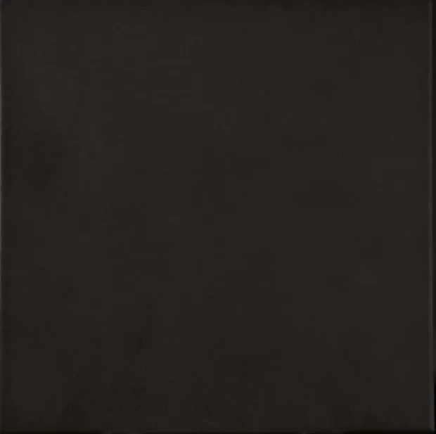 Recer Triplex Black 13×13 piastrella campione naturale