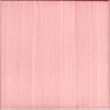 Ceramica Pinto Pennellato VP1739 piastrella maiolica bianco Vietri