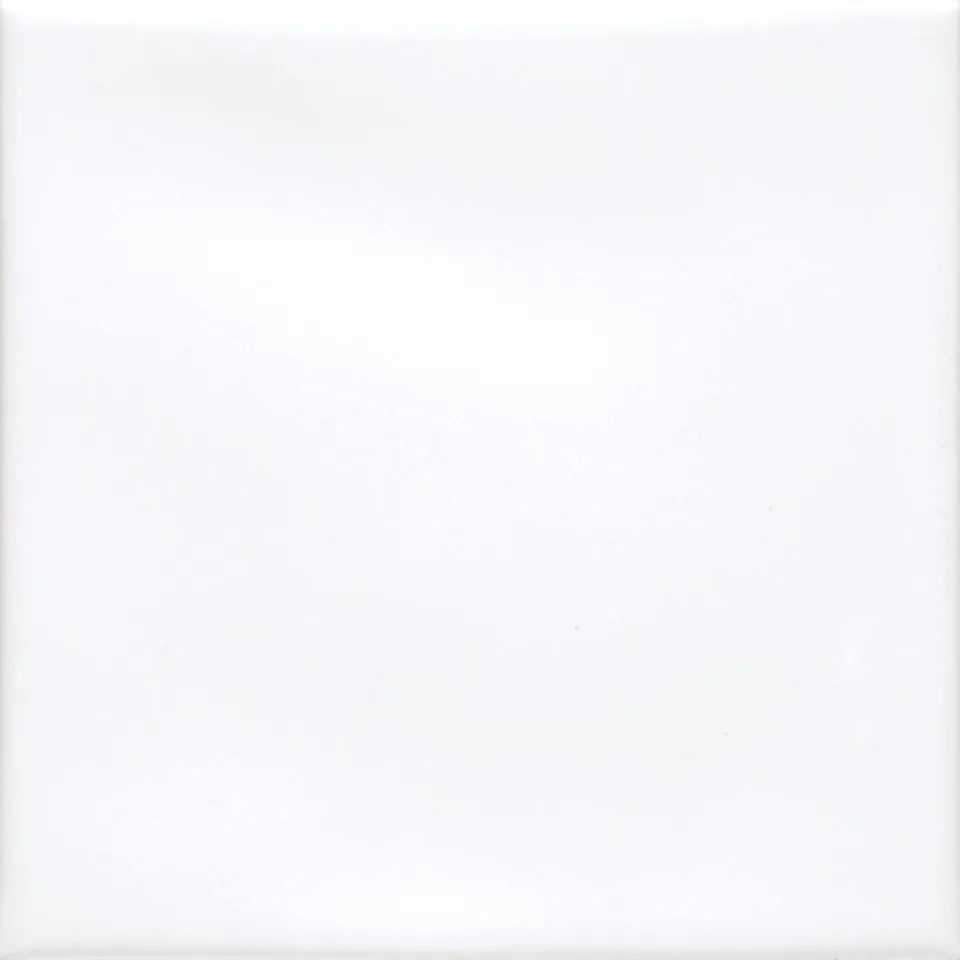 Recer Twist White Ice 10x10 campione piastrella Gloss