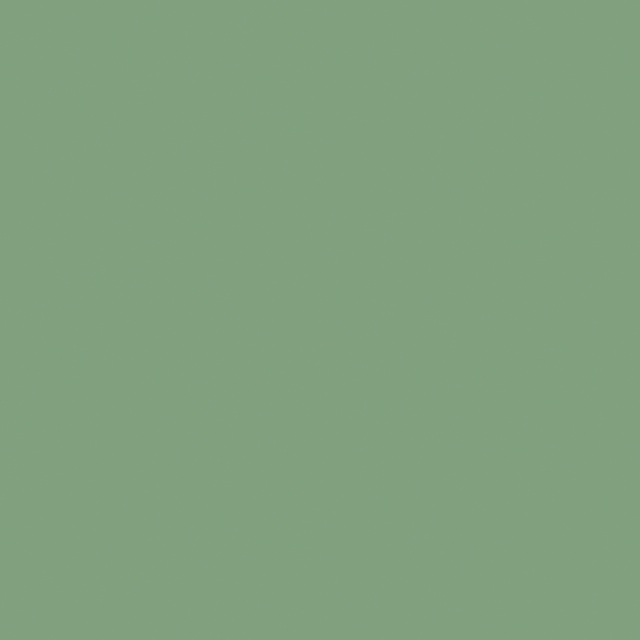 Recer Projectos Verde Vivo piastrella 13x13 campione