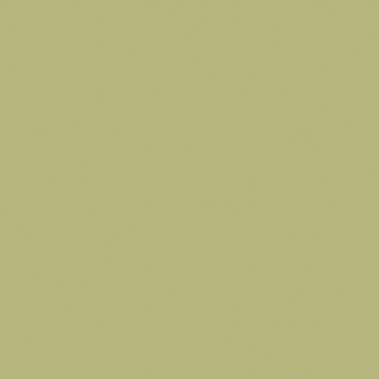 Recer Projectos Verde M151 20x20 piastrella verde naturale