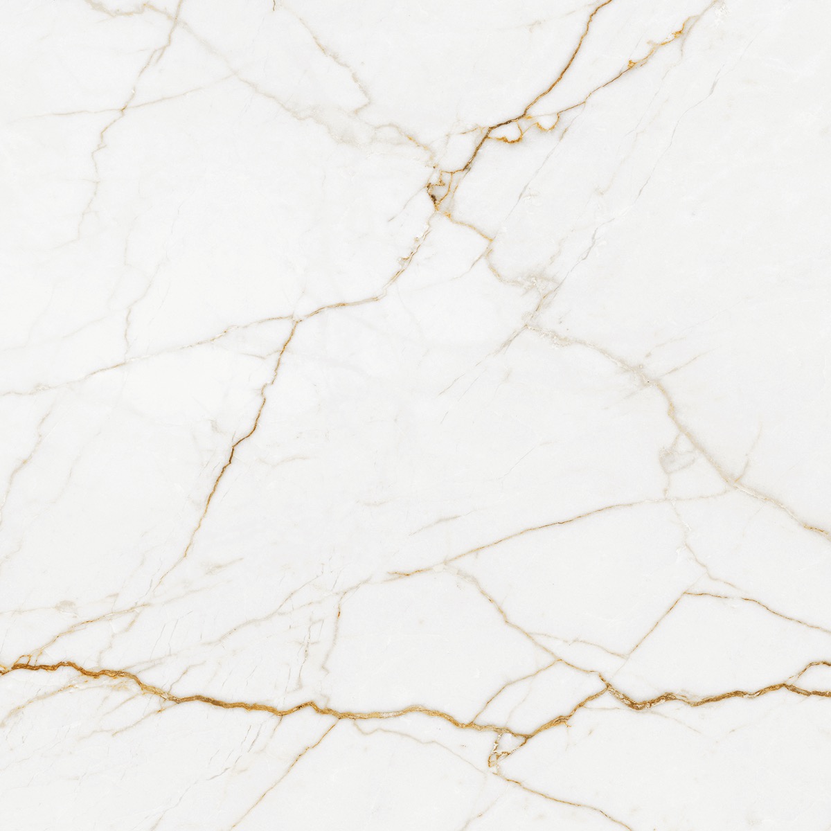 Recer Calacatta Auria Gold 60x60R piastrella Natural marmo